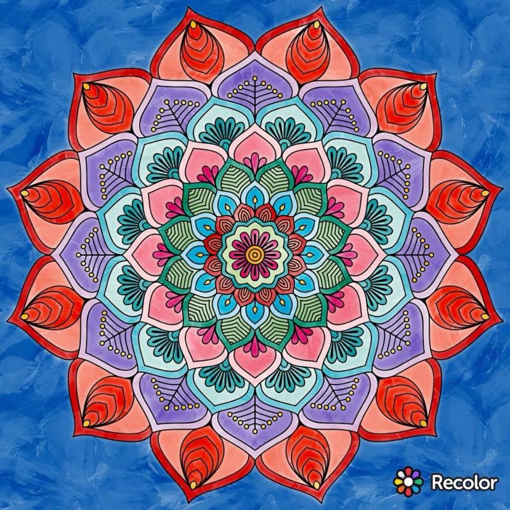 Meet your Posher, Carolyn